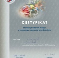 Powiększ obraz: certificate 5