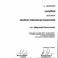 Powiększ obraz: certificate 2
