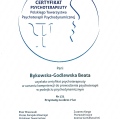 Powiększ obraz: certificate 1
