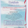 Powiększ obraz: certificate 21
