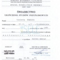 Powiększ obraz: certificate 11