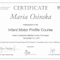 Powiększ obraz: certificate 3
