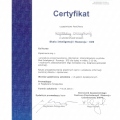 Powiększ obraz: certificate 21