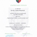 Powiększ obraz: certificate 30