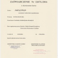 Powiększ obraz: certificate 16