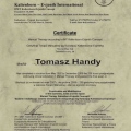 Powiększ obraz: certificate 10