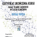 Powiększ obraz: certificate 7