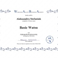 Powiększ obraz: certificate 19