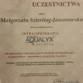 Powiększ obraz: certificate 12