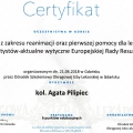 Powiększ obraz: certificate 9