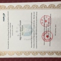 Powiększ obraz: certificate 1