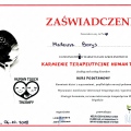 Powiększ obraz: certificate 44