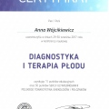 Powiększ obraz: certificate 13