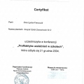 Powiększ obraz: certificate 10