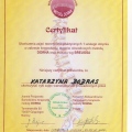 Powiększ obraz: certificate 3