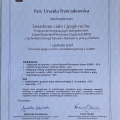 Powiększ obraz: certificate 2
