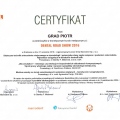 Powiększ obraz: certificate 2