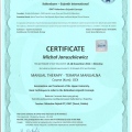 Powiększ obraz: certificate 3