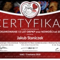 Powiększ obraz: certificate 65