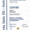 Powiększ obraz: certificate 9