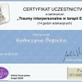 Powiększ obraz: certificate 8