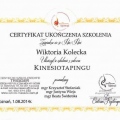 Powiększ obraz: certificate 3