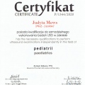 Powiększ obraz: certificate 1