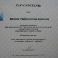 Powiększ obraz: certificate 3