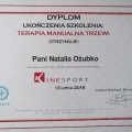 Powiększ obraz: certificate 9