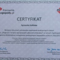 Powiększ obraz: certificate 3
