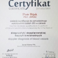 Powiększ obraz: certificate 1
