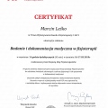 Powiększ obraz: certificate 13