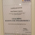 Powiększ obraz: certificate 7