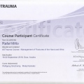Powiększ obraz: certificate 5