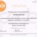Powiększ obraz: certificate 20
