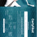 Powiększ obraz: certificate 19