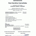 Powiększ obraz: certificate 1