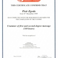 Powiększ obraz: certificate 9
