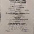Powiększ obraz: certificate 7