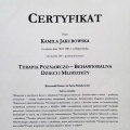 Powiększ obraz: certificate 3