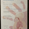 Powiększ obraz: certificate 13