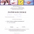 Powiększ obraz: certificate 9