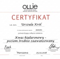 Powiększ obraz: certificate 1