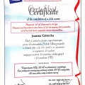 Powiększ obraz: certificate 2