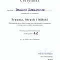 Powiększ obraz: certificate 10
