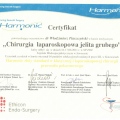Powiększ obraz: certificate 5
