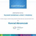 Powiększ obraz: certificate 26