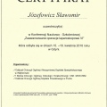 Powiększ obraz: certificate 17
