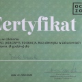 Powiększ obraz: certificate 10