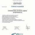 Powiększ obraz: certificate 2